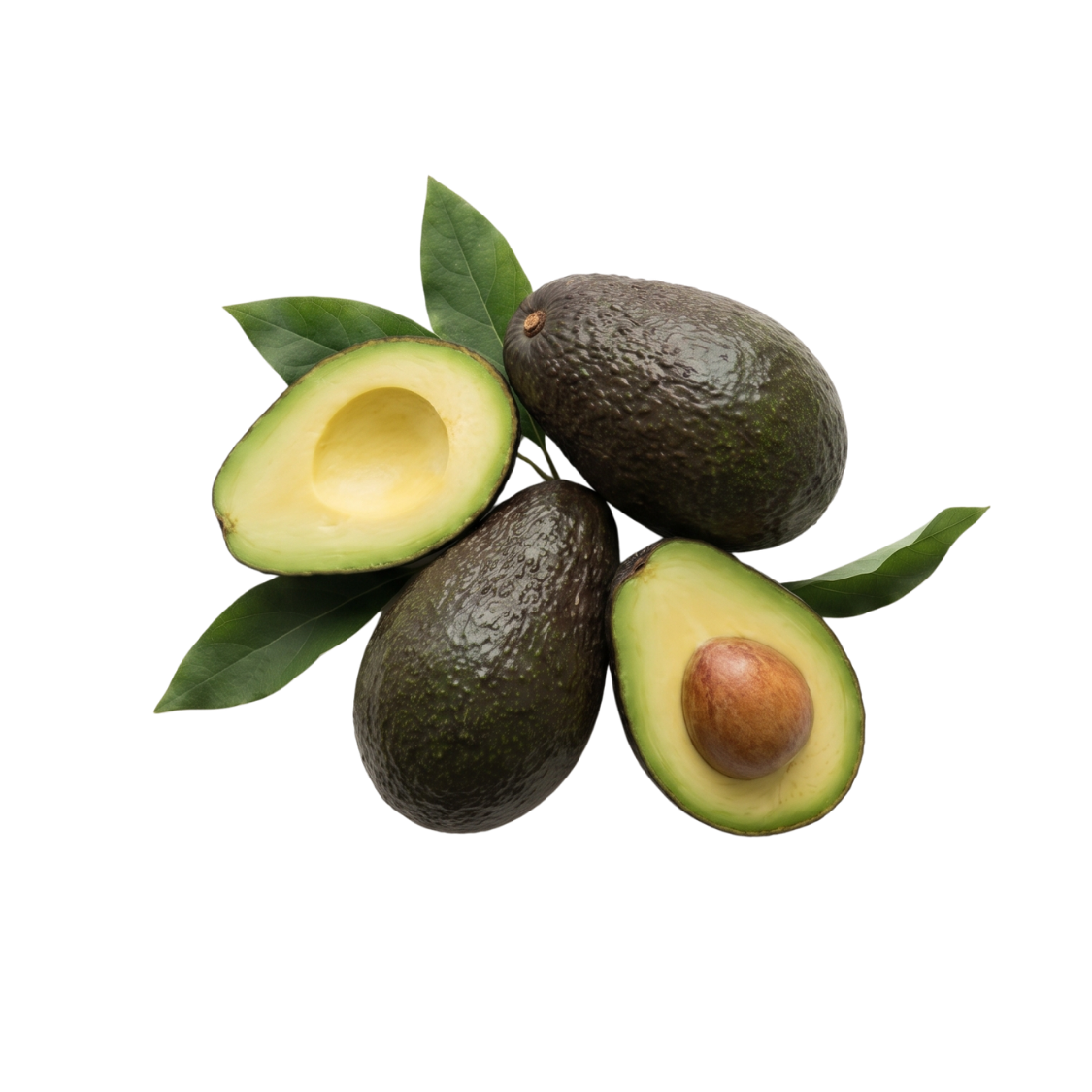 Extrait de Vitamine E